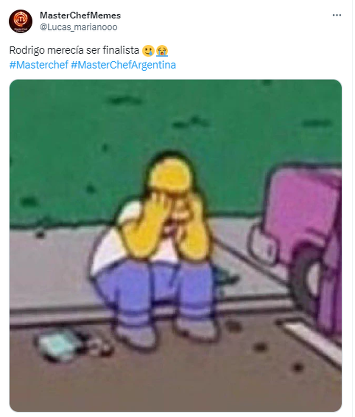 Los mejores memes tras la eliminación de Rodrigo de MasterChef. Los mejores memes tras la eliminación de Rodrigo de MasterChef.