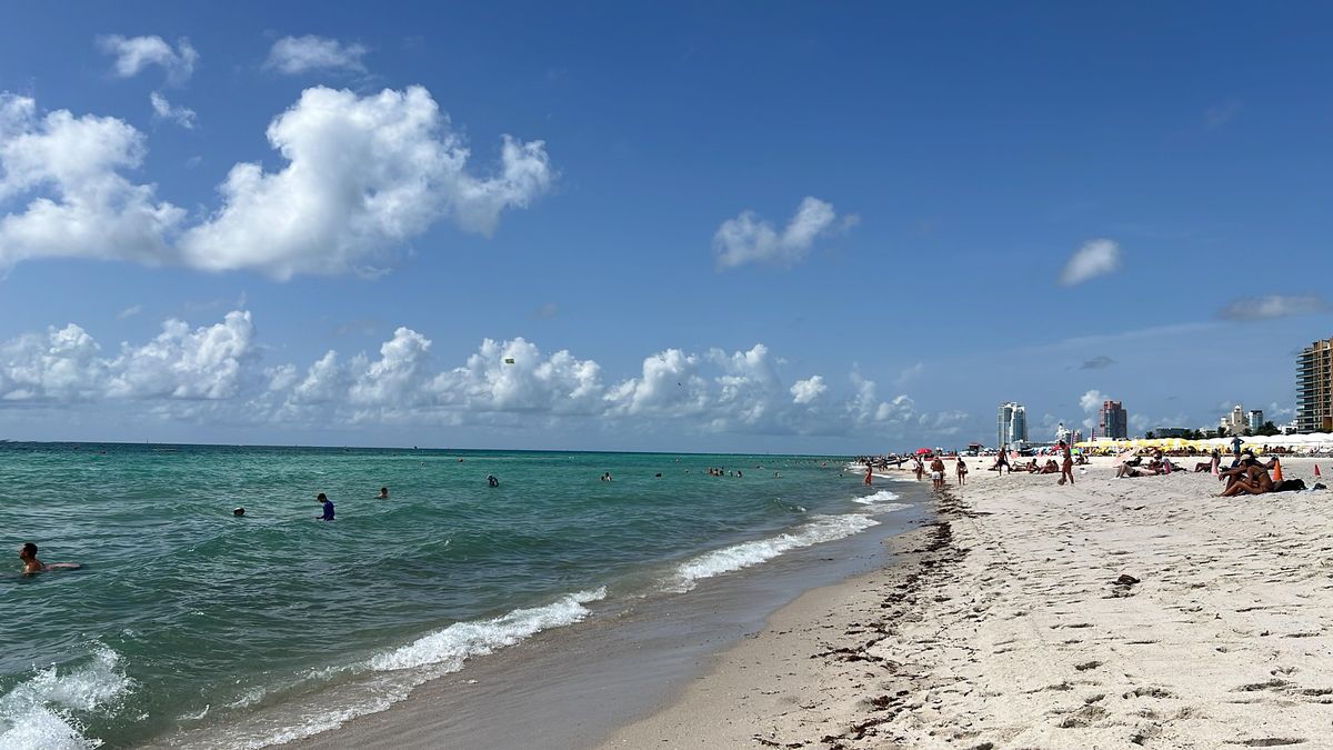 Copa América: desde las playas de Miami, AIRE palpita la previa de Argentina vs. Perú