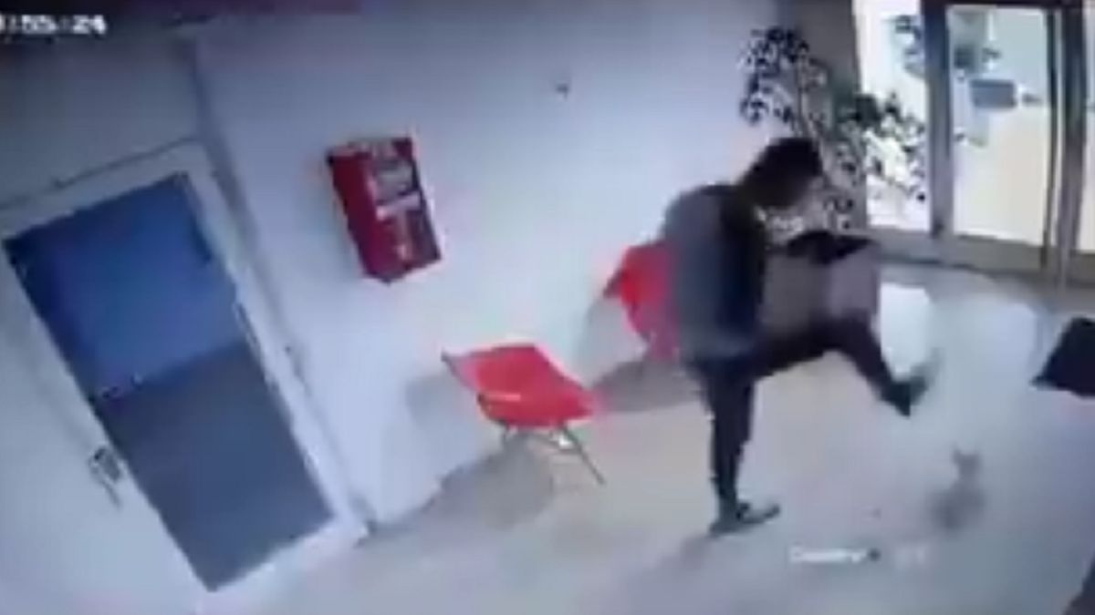 Quién es el hombre que pateó al perro caniche y cómo su vida se vino abajo tras la viralización del video