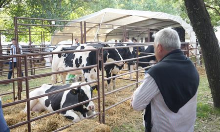 eficiencia energetica en los tambos, la jornada clave para un futuro eficiente eficiencia energetica en los tambos, la jornada clave para un futuro eficiente