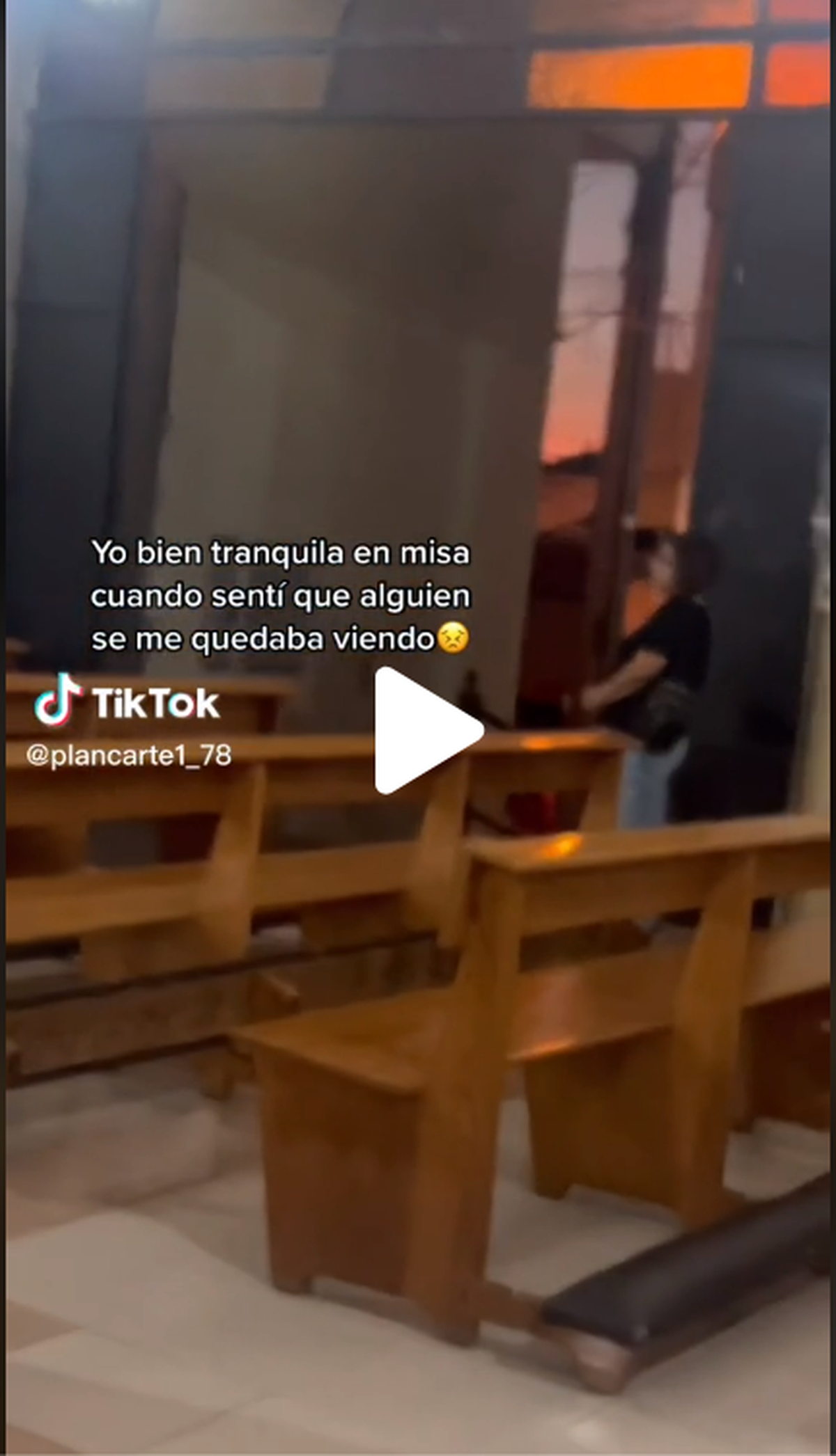 El material fue compartido por una usuaria de TikTok.