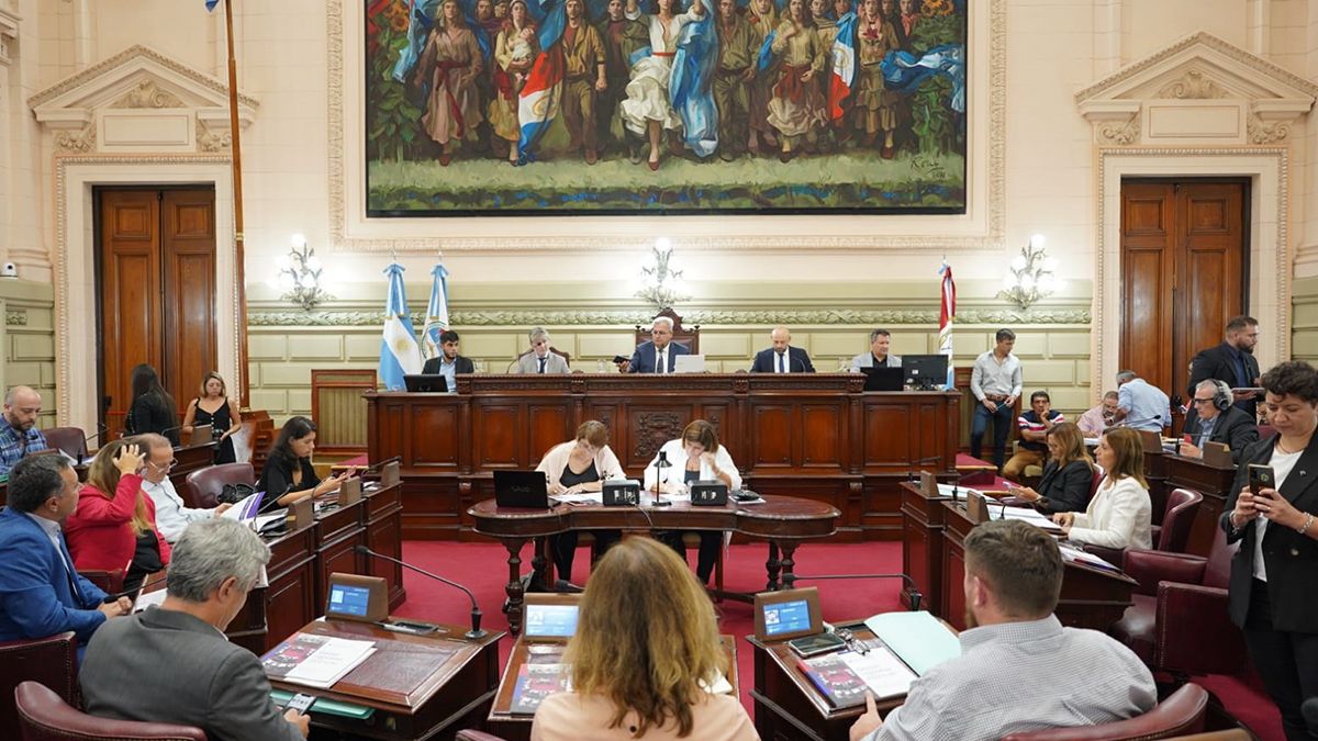 La Cámara de Diputados aprobó un pedido de informes vinculado a observaciones realizadas por el Tribunal de Cuentas sobre compras realizadas en el contexto de la emergencia en Seguridad.