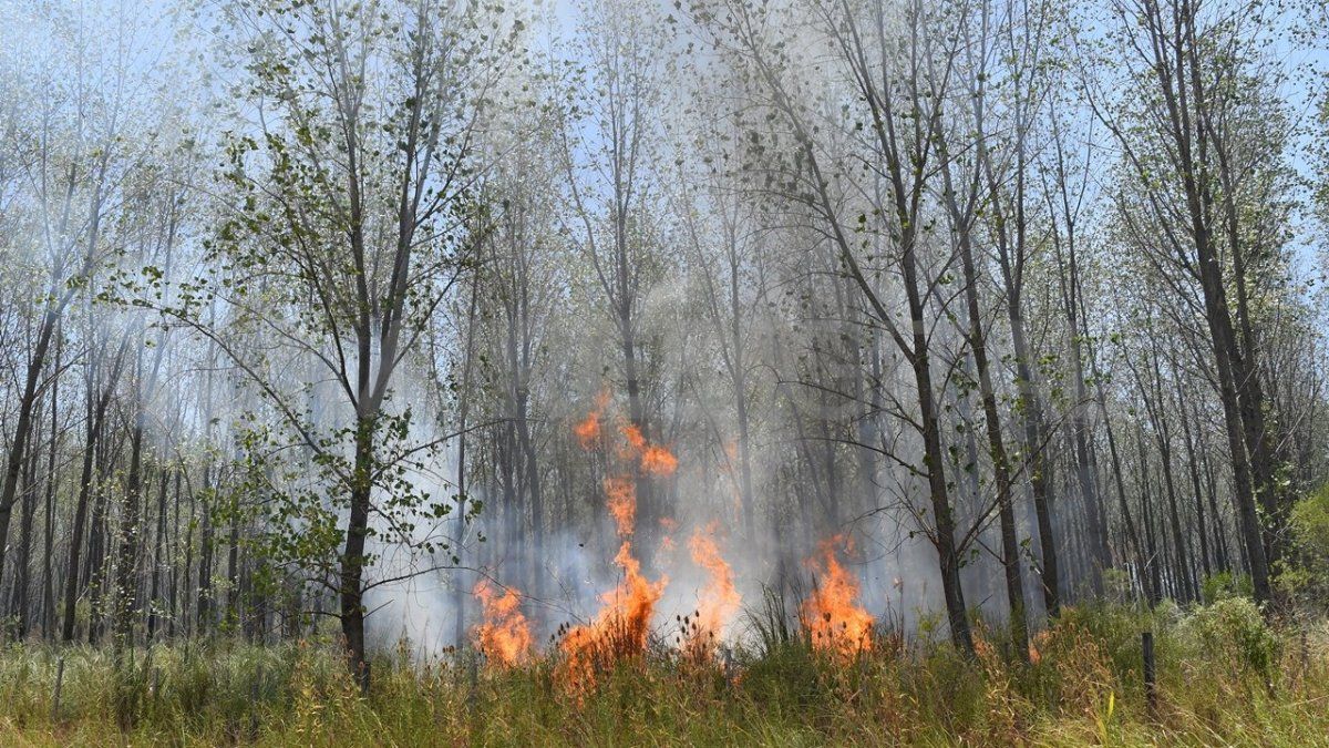 Las altas temperaturas y la sequía favorecen la ocurrencia de incendios forestales en todo el país.