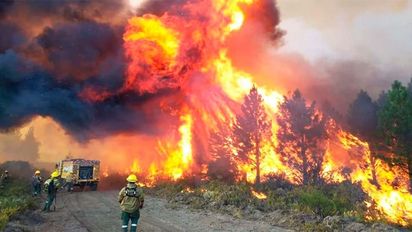 Incendios en Chubut: alertan que son cada vez más violentos y reclaman mayor presencia del Estado