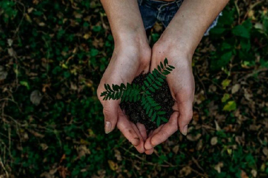 Cuál es la importancia de las comunidades sustentables y cómo se crean