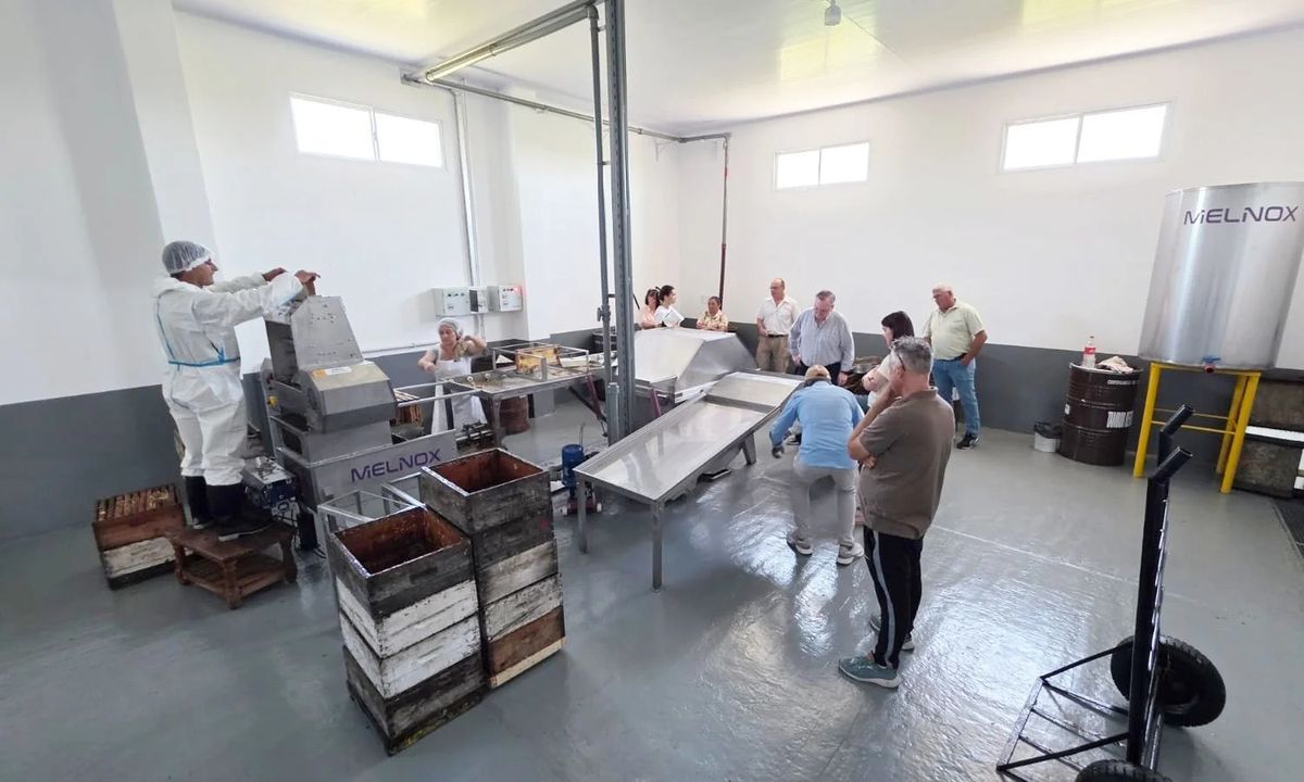 El senador Felipe Michlig visitó la nueva sala de extracción de miel de la Cooperativa de Apicultores de Ambrosetti. El senador Felipe Michlig visitó la nueva sala de extracción de miel de la Cooperativa de Apicultores de Ambrosetti.