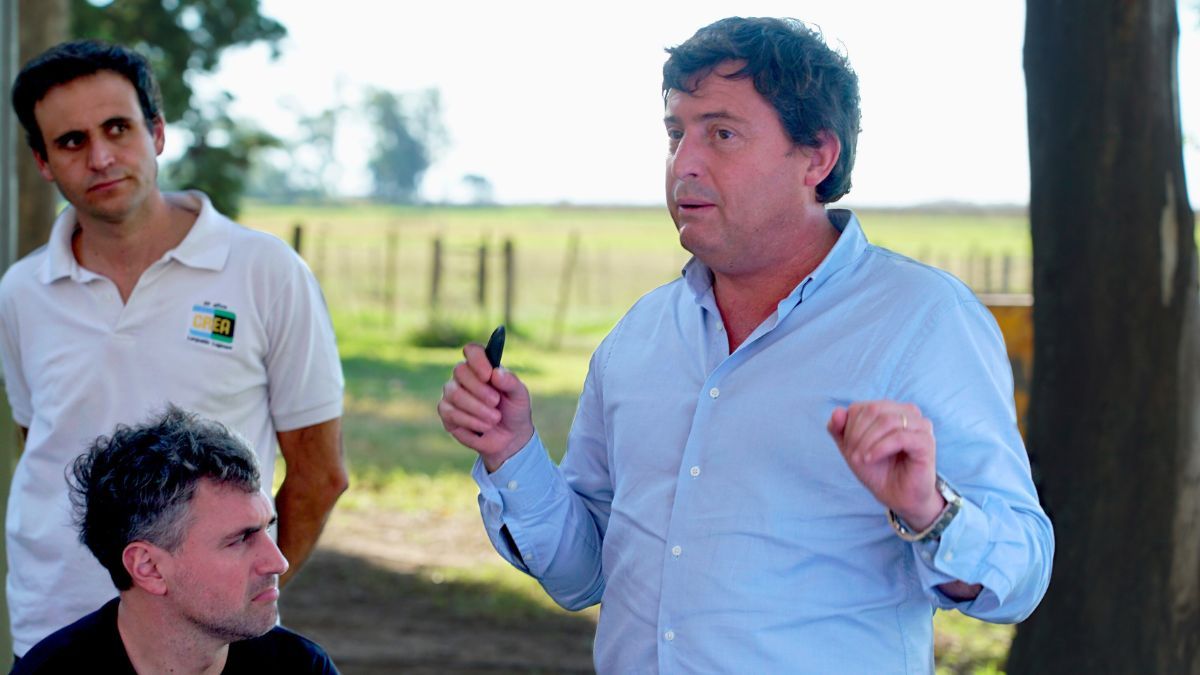 “Para comprar un metro cuadrado de departamento, hoy se necesitan menos toneladas que el promedio de los últimos 20 años", indicó el experto. “Para comprar un metro cuadrado de departamento, hoy se necesitan menos toneladas que el promedio de los últimos 20 años", indicó el experto.