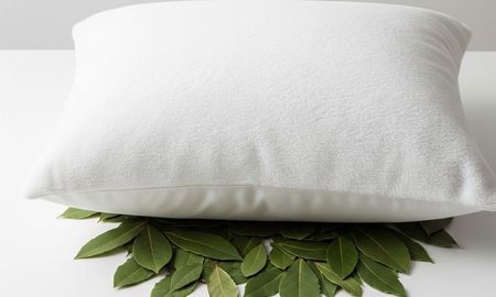 El significado de poner hojas de laurel abajo de la almohada. El significado de poner hojas de laurel abajo de la almohada.