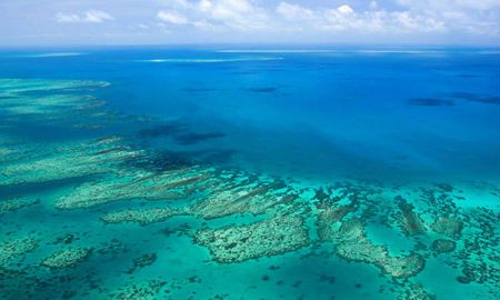 El blanqueamiento del coral impacta de dos terceras partes de la Barrera Coralina Australiana. El blanqueamiento del coral impacta de dos terceras partes de la Barrera Coralina Australiana.