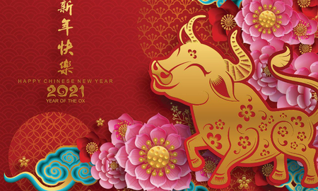 Curiosidades y significado del horóscopo chino Curiosidades y significado del horóscopo chino
