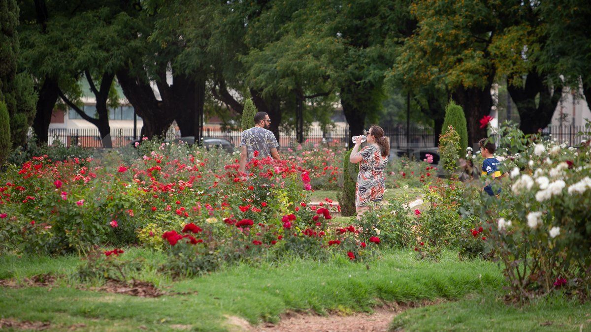 El patrimonio forestal del parque combina especies nativas con árboles de distintas partes del mundo.