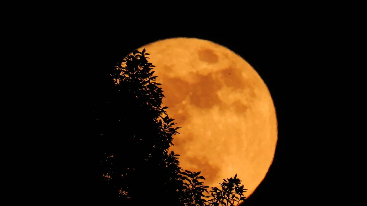 La Luna de la Cosecha es un momento ideal para celebrar tus logros
