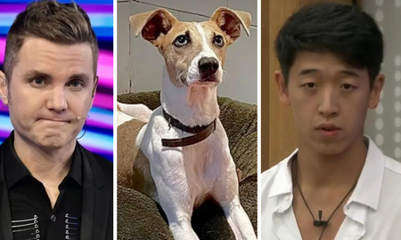 Santiago del Moro confirmó lo peor para el Chino de Gran Hermano: el perro Arturo sale de la casa Santiago del Moro confirmó lo peor para el Chino de Gran Hermano: el perro Arturo sale de la casa