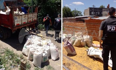 En un procedimiento realizado en el barrio Santa Rosa de Lima secuestraron 10 toneladas de cereal. En un procedimiento realizado en el barrio Santa Rosa de Lima secuestraron 10 toneladas de cereal.