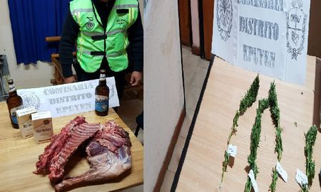 Secuestro de plantas de marihuana en Epuyen. Secuestro de plantas de marihuana en Epuyen.