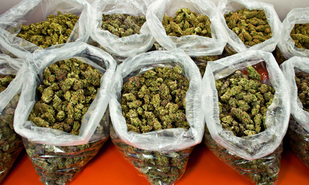 Se tragó una bolsa con marihuana para no ir preso, pero se ahogó y el oficial que lo detuvo le salvó la vida Se tragó una bolsa con marihuana para no ir preso, pero se ahogó y el oficial que lo detuvo le salvó la vida