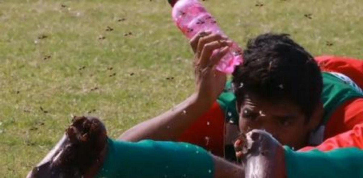 Video: un enjambre de abejas atacó a jugadores en un partido de fútbol.