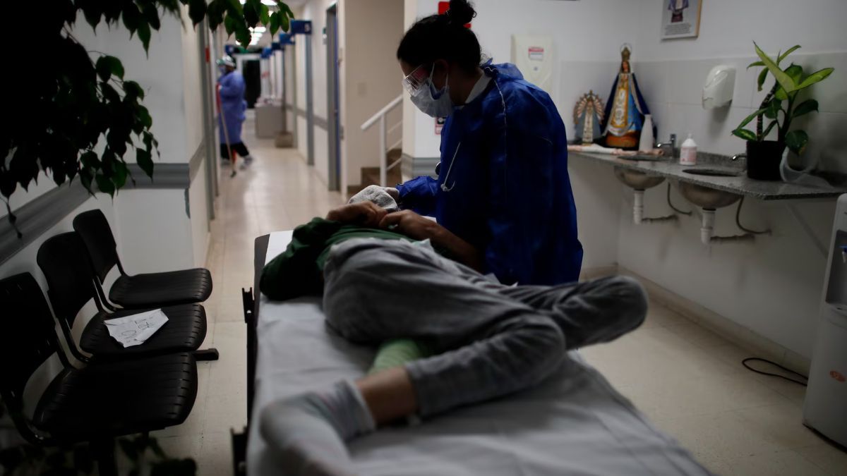 El proyecto establece el procedimiento