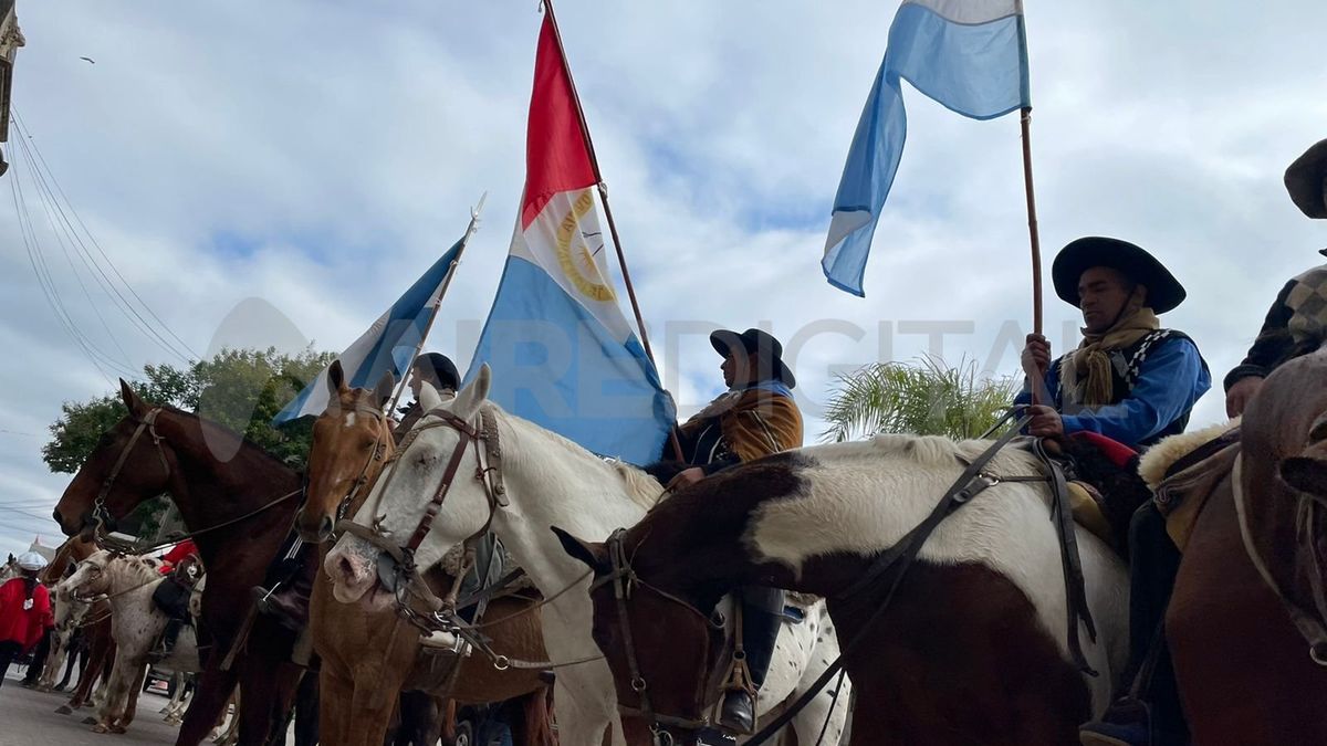 Faena clandestina: desde la ONG SOS Caballos alertaron que son hechos que se dan de forma cotidiana.