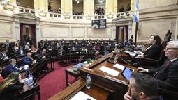 El Senado le dio sanción definitiva a la Ley Penal Juvenil.