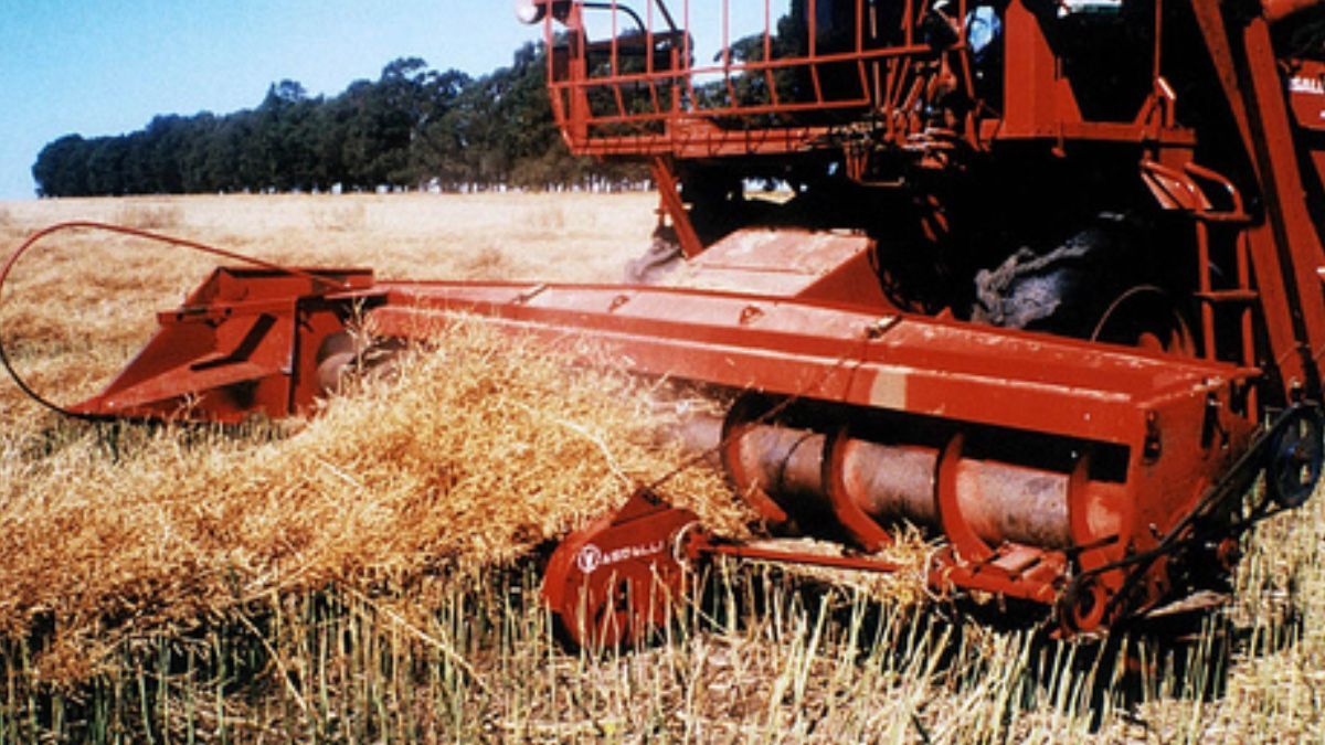 El proyecto de la legisladora justicialista afirma que “la competencia desleal que implicaría el ingreso de maquinaria usada a bajo costo.