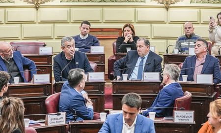 Aire de Santa Fe | javkin poletti diputados convencion