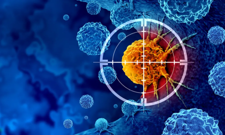 La proteína PCNA en acción: una clave en la replicación del ADN celular. La proteína PCNA en acción: una clave en la replicación del ADN celular.