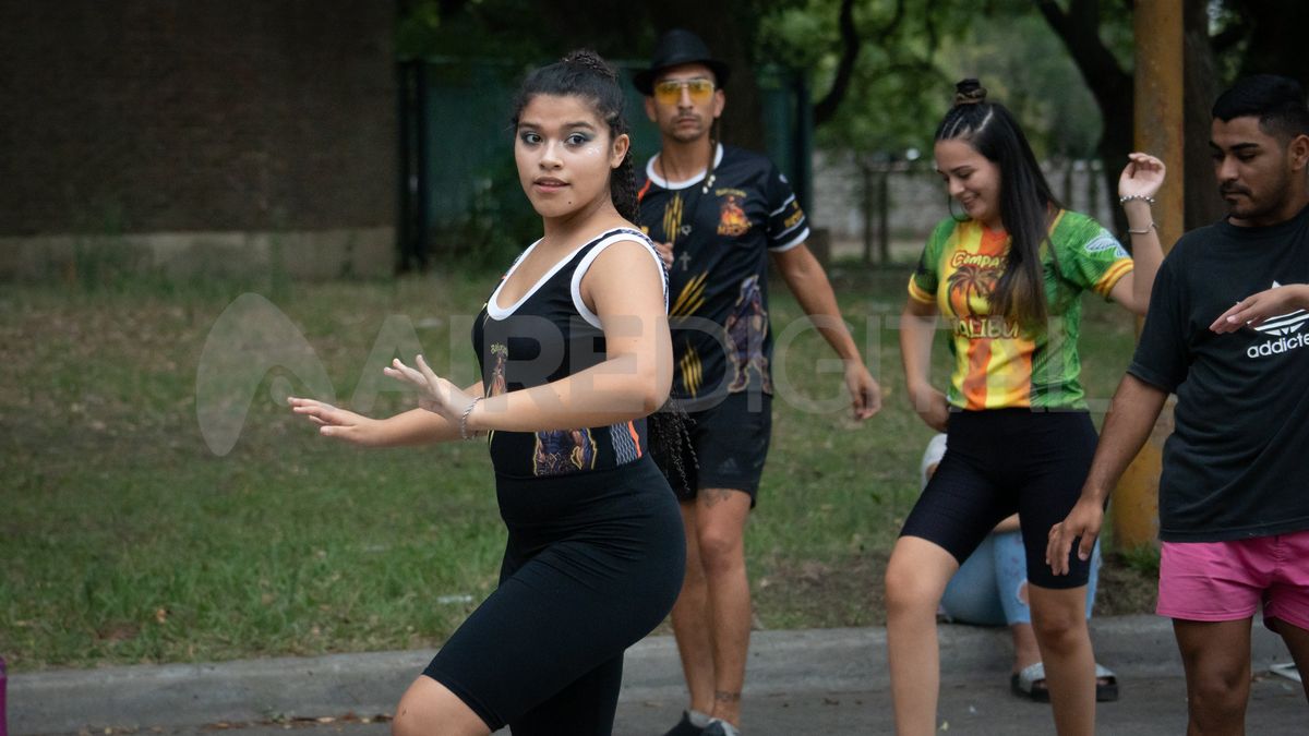 Los representantes de las comparsas mencionaron que están trabajando en un proyecto para la creación de un espacio de corsódromo en la ciudad.