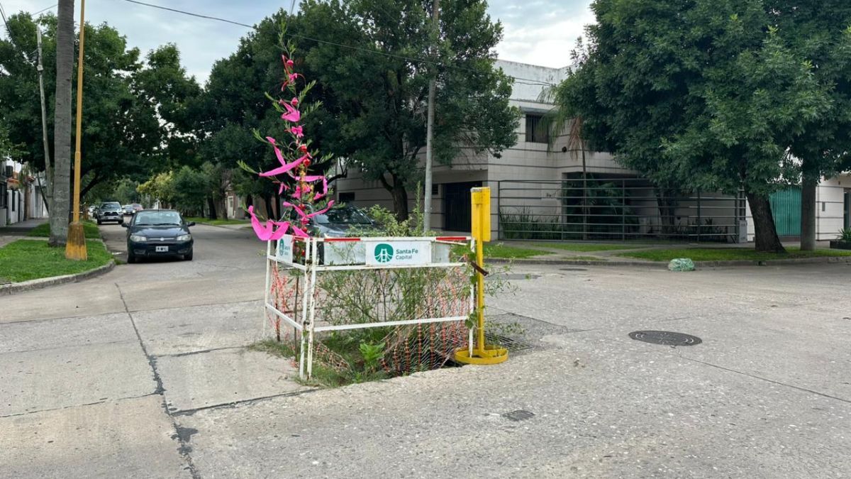 Unos días antes de Navidad, el móvil de AIRE mostró cómo vecinos de barrio Guadalupe adornaron con temática navideña la maleza que creció desde un socavón. Unos días antes de Navidad, el móvil de AIRE mostró cómo vecinos de barrio Guadalupe adornaron con temática navideña la maleza que creció desde un socavón.