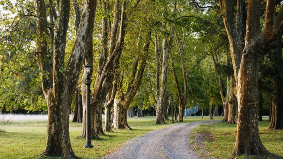 Los pequeños destinos para conocer y descansar un finde largo Los pequeños destinos para conocer y descansar un finde largo