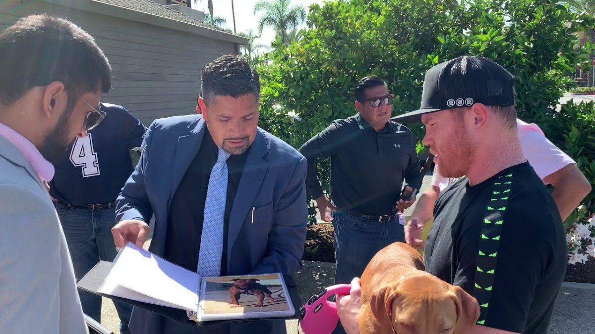 Regalan a Canelo Álvarez perra Pit Bull de 150 mil dólares