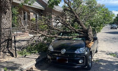 El coche quedó con daños principalmente en el parabrisa. El coche quedó con daños principalmente en el parabrisa.