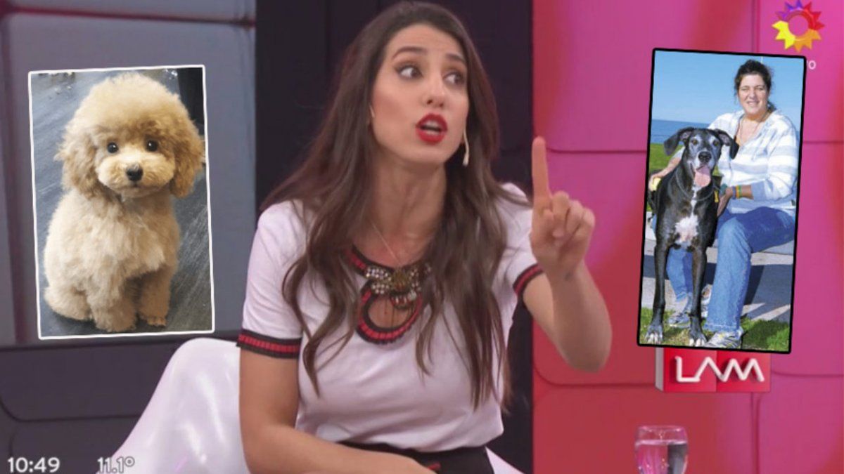 Reneé Cormillot destrozó a Cinthia Fernández por no querer adoptar un callejero: Se busca enemigos