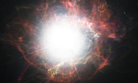 Un estudio de la Universidad de Illions, en Estados Unidos, reveló que una supernova pudo causar una grave extinción en la Tierra Un estudio de la Universidad de Illions, en Estados Unidos, reveló que una supernova pudo causar una grave extinción en la Tierra