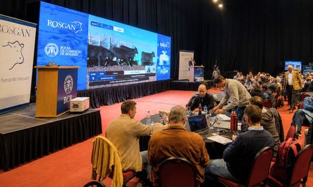 con buenos valores para la invernada, comenzo la agenda de remates de la expo angus con buenos valores para la invernada, comenzo la agenda de remates de la expo angus