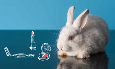 Maquillaje Cruelty Free: ¿moda o llegó para quedarse? Maquillaje Cruelty Free: ¿moda o llegó para quedarse?