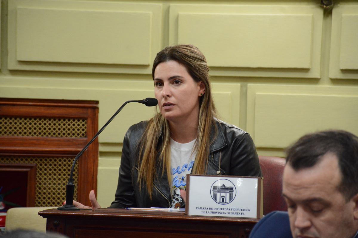 La diputada Cattalini explicó que en primera instancia se recibió la denuncia de una víctima, luego un informe del auditor Leandro Mai, "donde daba cuenta de varias causas en las cuales el exfiscal Rodríguez había dilatado procedimientos en causas de abuso sexual muy graves, causas abuso sexual intrafamiliares”. La diputada Cattalini explicó que en primera instancia se recibió la denuncia de una víctima, luego un informe del auditor Leandro Mai, "donde daba cuenta de varias causas en las cuales el exfiscal Rodríguez había dilatado procedimientos en causas de abuso sexual muy graves, causas abuso sexual intrafamiliares”.