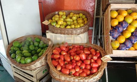 La idea es generar un fideicomiso para intervenir en la producción y comercialización de los tres principales alimentos de mayor consumo que son la papa, el tomate y la cebolla, que representan 40% del consumo, señaló Levaggi La idea es generar un fideicomiso para intervenir en la producción y comercialización de los tres principales alimentos de mayor consumo que son la papa, el tomate y la cebolla, que representan 40% del consumo, señaló Levaggi