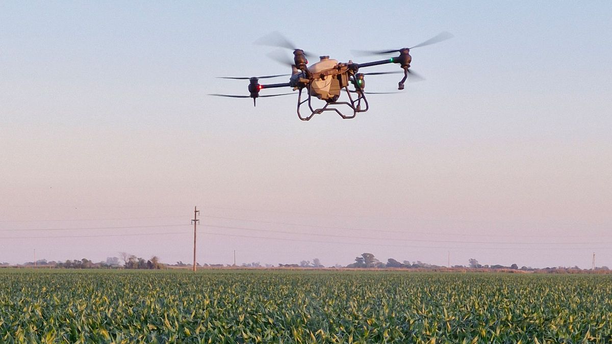 En ese documento, Francisco no solo convocó a una “conversión ecológica” global, sino que también cuestionó los efectos del modelo agroindustrial intensivo En ese documento, Francisco no solo convocó a una “conversión ecológica” global, sino que también cuestionó los efectos del modelo agroindustrial intensivo