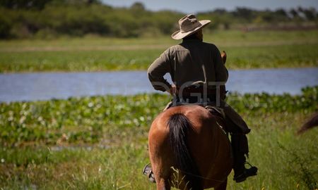 Jaaukanigás es una de las sitios más visitados de la provincia de Santa Fe Jaaukanigás es una de las sitios más visitados de la provincia de Santa Fe