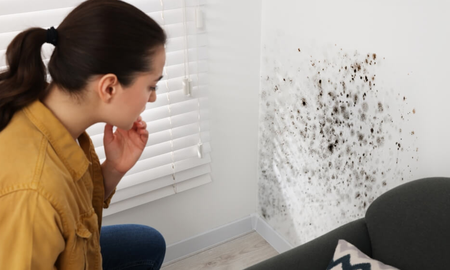 Cómo combatir la humedad en tu casa: la solución a tus problemas Cómo combatir la humedad en tu casa: la solución a tus problemas