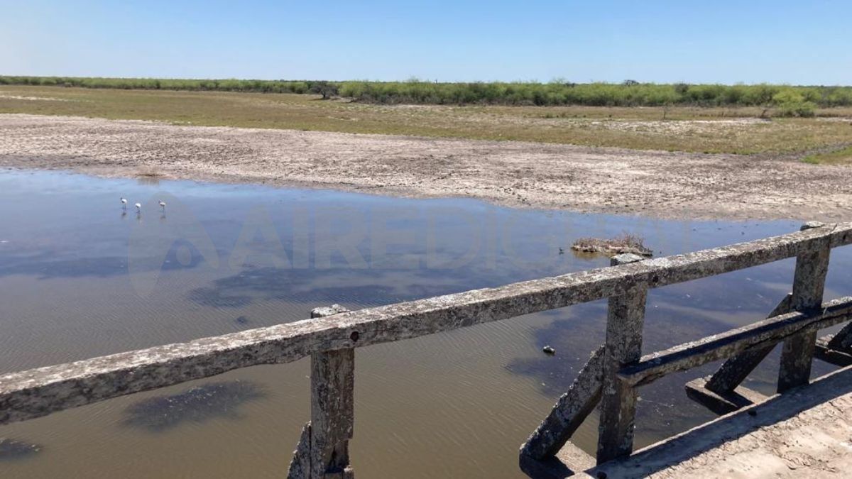 Fortín Olmos: limpian un represa para reactivarla y poder sacar agua