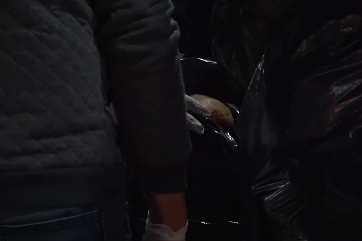 El cráneo esatba rayado con fibrón rojo, con la leyenda "666" y una "estrella tipo gótica". (Captura de video)