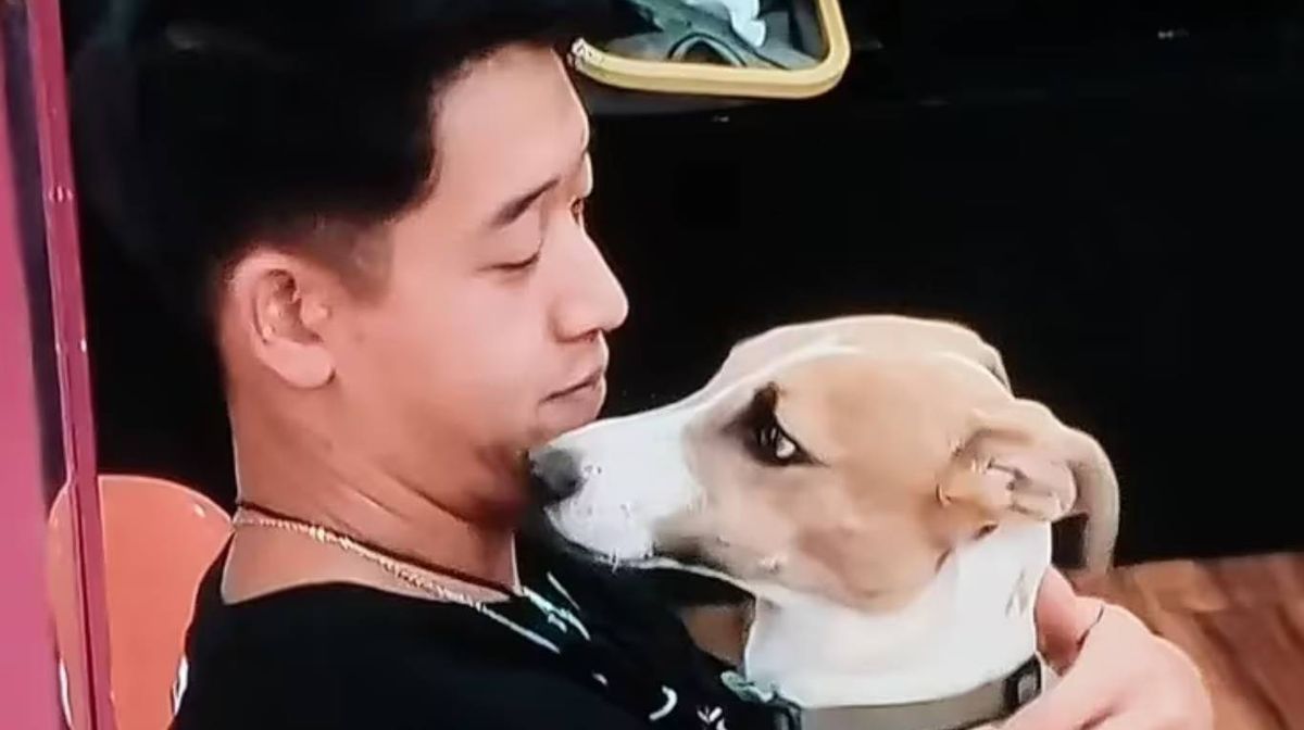 Así son los días de Arturo