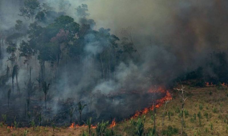 La deforestación potencia el cambio climático y se repiten eventos extremos como inundaciones