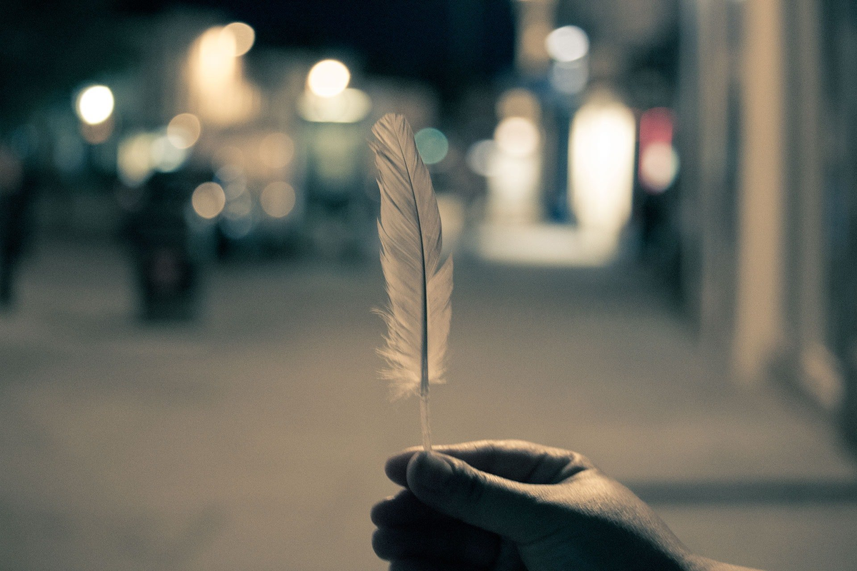 Cuál es el significado espiritual de encontrar una pluma de manera inesperada