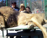 Crueldad: nuevas fotos y videos del maltrato animal en el zoológico de Luján Crueldad: nuevas fotos y videos del maltrato animal en el zoológico de Luján
