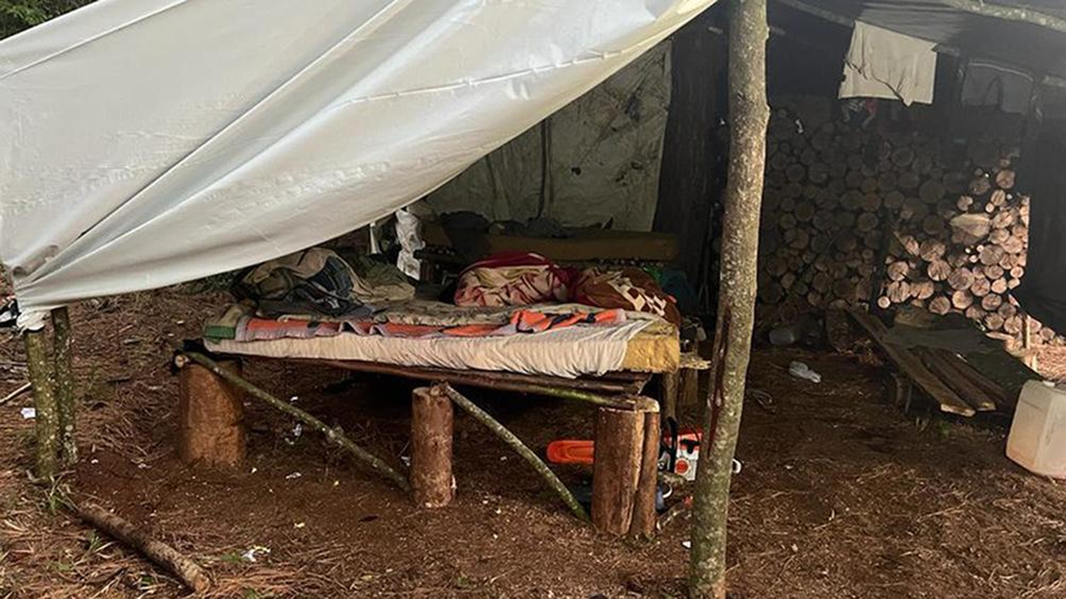 Cuatro argentinos sometidos a condiciones de trabajo esclavo en Brasil fueron liberados