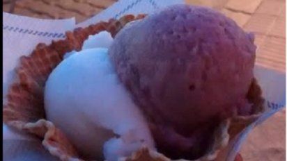 Los helados de vino Malbec y Torrontés causan furor en Cafayate