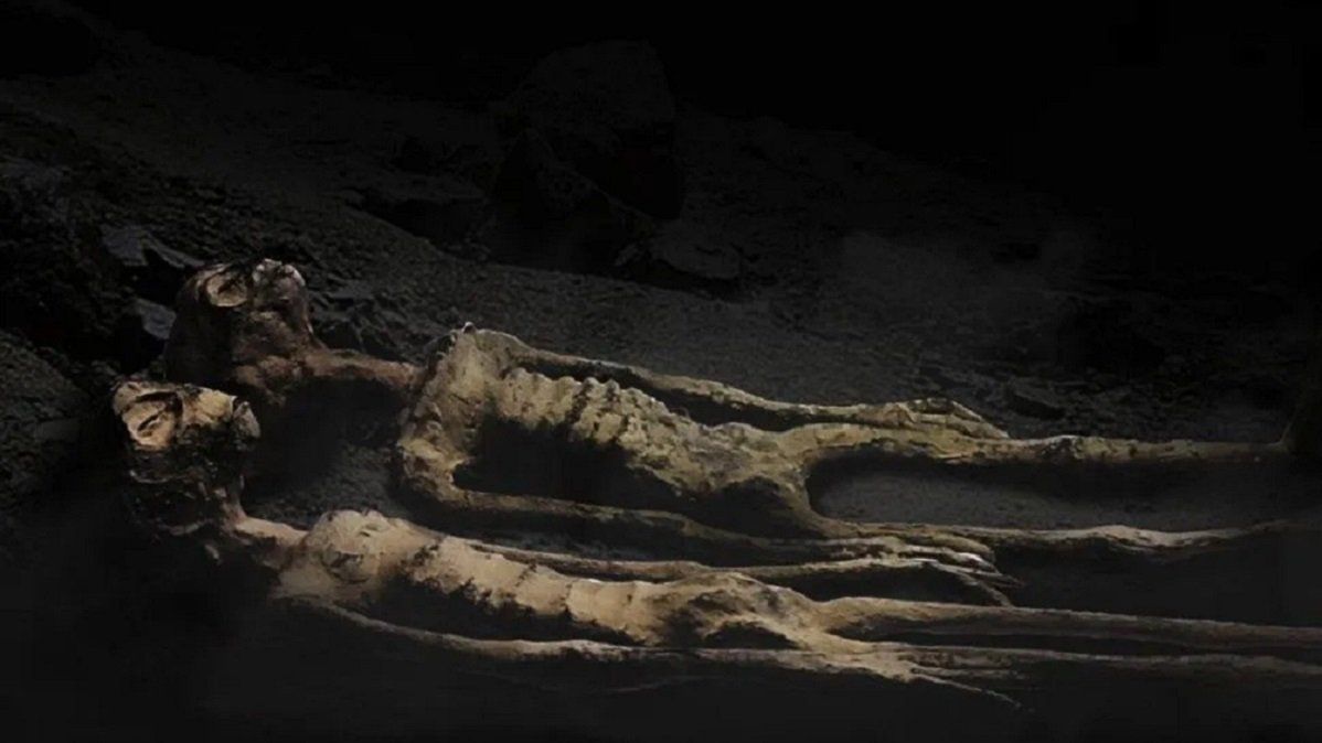 Los restos podr&iacute;an ser claves en la investigaci&oacute;n cient&iacute;fica